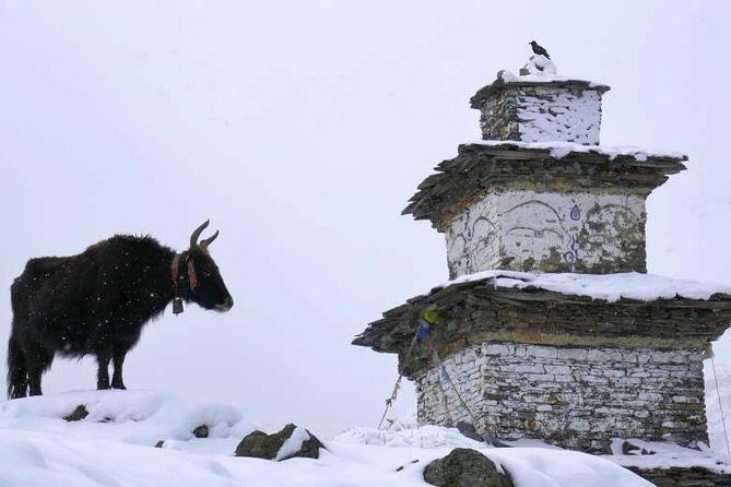 Manaslu Circuit Trekking - 17 Days - Samdo and Larkya Phedi: going high enough that cold becomes real