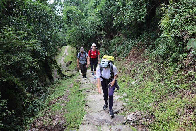 Mardi Himal Base Camp Trek (5 Days) - Quick reasons this trek works