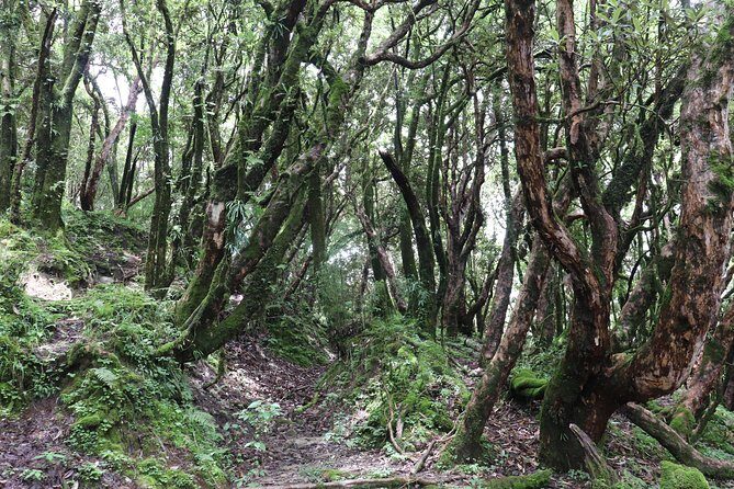 Mardi Himal Base Camp Trek (5 Days) - Day 5 back to Pokhara: recovery, a ride, and a clean finish