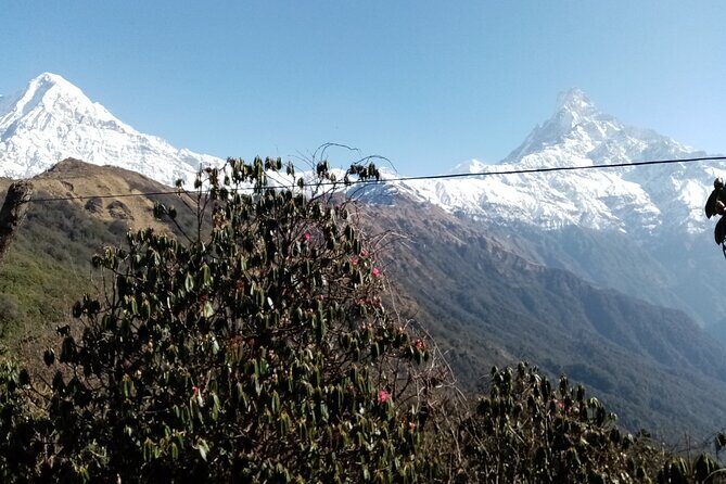Mardi Himal Newly Discovered Trekking from Pokhara Nepal - Forest Camp to Low Camp with wider mountain views (Day 3)