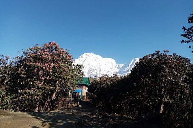 Mardi Himal Newly Discovered Trekking from Pokhara Nepal - The main event: High Camp to Mardi Himal Base Camp around 4,500m (Day 5)