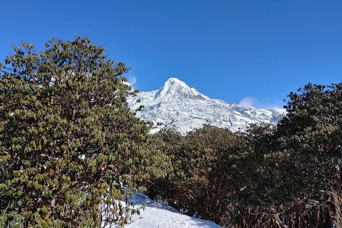 Mardi Himal Trek - Why Mardi Himal Fits a 5-Day Trip from Pokhara