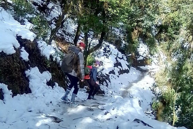 Mardi Himal Trek - Day 3: Mardi Himal Base Camp or View Point (you choose your personal highlight)