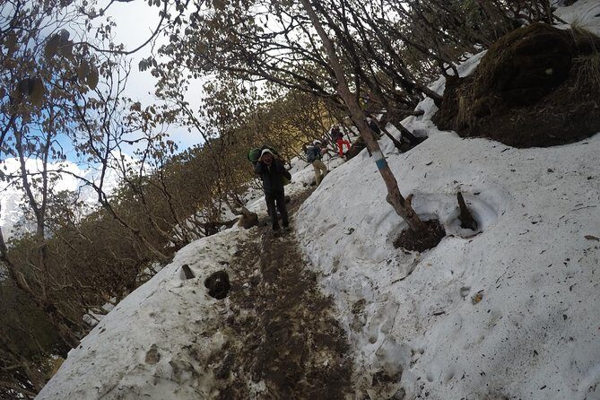 Mardi Himal Trekking - Guides and porters: the real value you’re paying for
