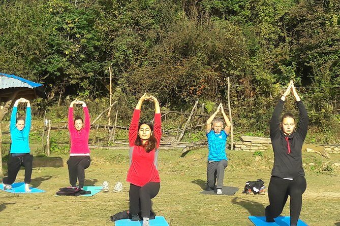 Mardi Himal Yoga Trek - Getting Your Trek Legs: Dhampus View Tower to Pitam Deurali