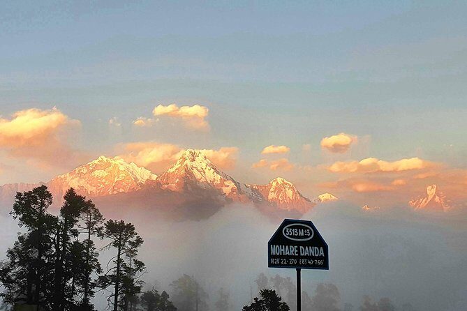 Mohare Danda Trek - Is this “easy short” trek truly for you?