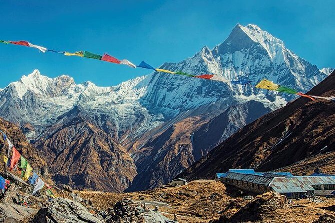 Multi-Day Sites of Nepal Tour from Kathmandu with Poon Hill Trek- 9 Days - Ulleri to Ghorepani: gentle hiking through rhododendron and birdlife