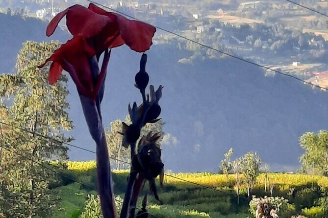 Nagarkot (2175m) Sunrise and Day Hike to Changunarayan Temple - Getting From Thamel to Nagarkot for Sunrise