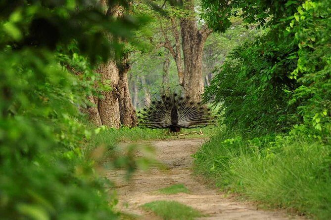 Nepal at a Glance Luxury -11 Days - Lumbini: Buddha’s birthplace with heritage-site specifics