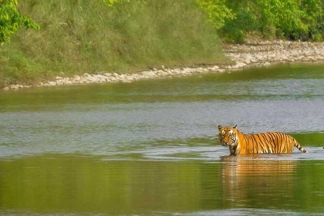 Nepal at a Glance Luxury -11 Days - Bandipur’s hill-town charm and that sunset timing