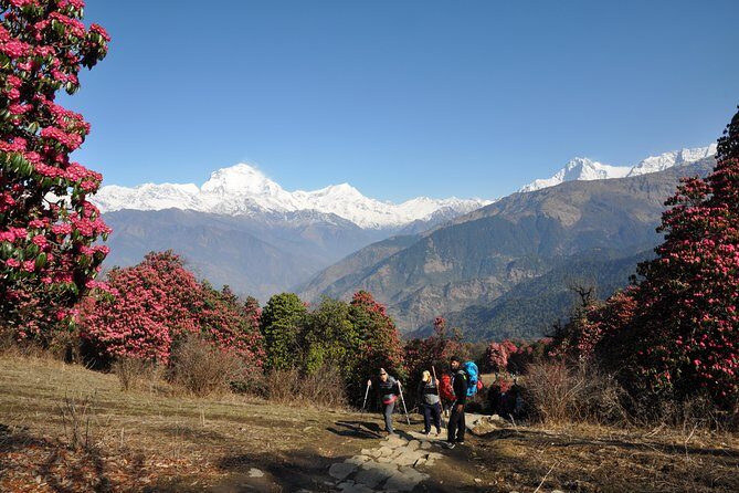 Nepal Round Tour with Annapurna Trek 14 Days - Why This Annapurna Trek + Culture Mix Works So Well