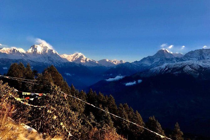 Nepal Round Tour with Annapurna Trek 14 Days - Guides Make or Break It: City Guide, Trekking Guide, and Shiva’s Role
