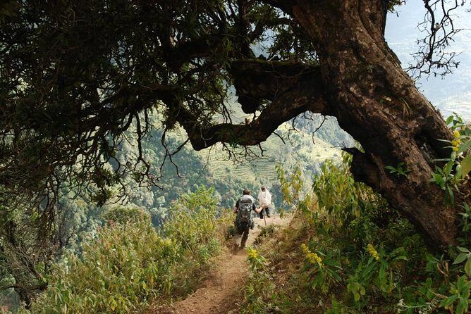 Nepal Round Tour with Annapurna Trek 14 Days - Where You Sleep: 3-Star Hotels in Kathmandu and Pokhara + Guesthouses on Trek