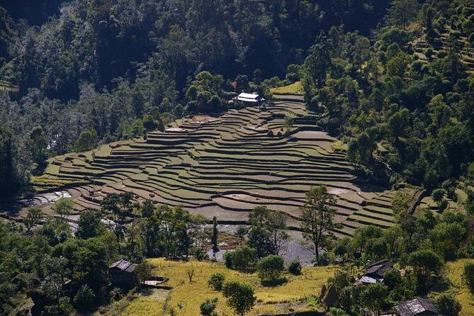 Nepal Round Tour with Annapurna Trek 14 Days - Kathmandu Valley Days: Pashupati, Budha Stupa, Patan Durbar Square, Bhaktapur