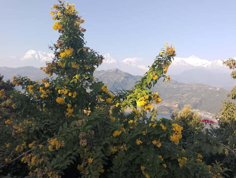 Peace & Panorama: Stupa and Pumdikot Scenic Drive Tour - Who should book Peace & Panorama, and who should skip it