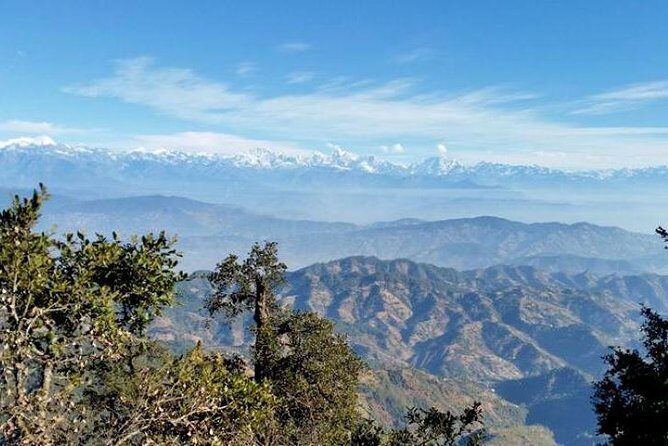 Phulchoki bird-watching tour - Timing and pace: why the 6:15 am start is part of the experience