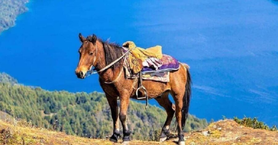 Pokhara: 1-Hour Horseback Ride with Hotel Pickup - A Saddle Ride That Puts You Face-to-Face With the Mountains