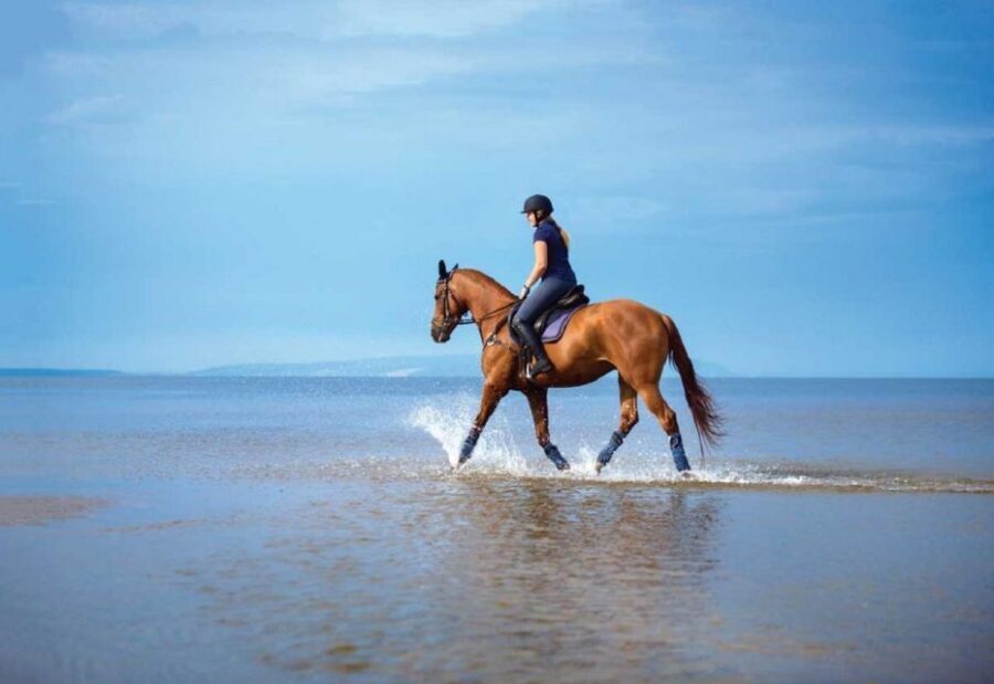 Pokhara: 1-Hour Horseback Ride with Hotel Pickup - Tips to Make Your Ride Smoother in Pokhara