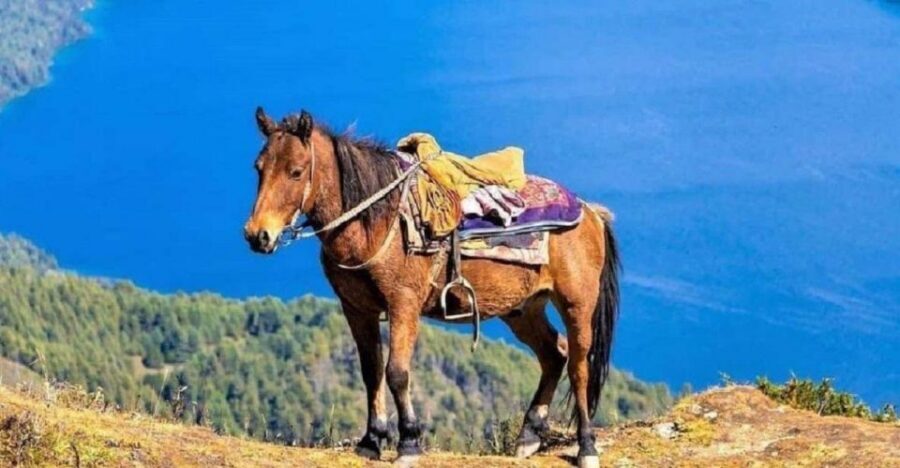 Pokhara: 1-Hour Horseback Ride with Hotel Pickup - Hotel Pickup and the Equestrian Center: What to Expect Before Mounting