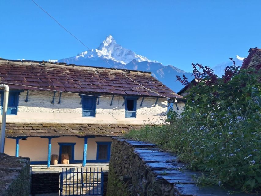 Pokhara: 2-Day Australian Camp & Dhampus Village Easy Hike - Australian Camp: where the Annapurna views become the point