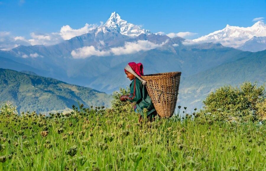 Pokhara: 2-Day Australian Camp & Dhampus Village Easy Hike - Dhampus Village and the included Gurung culture stop
