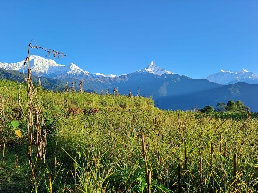 Pokhara: 2-Day Australian Camp & Dhampus Village Easy Hike - Day 1: from Kande up to Australian Camp, then down to Dhampus