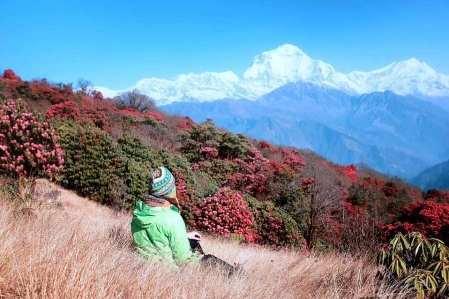 Pokhara: 2 Day Ghorepani & Poon Hill Private Trekking - Key things to know before you go