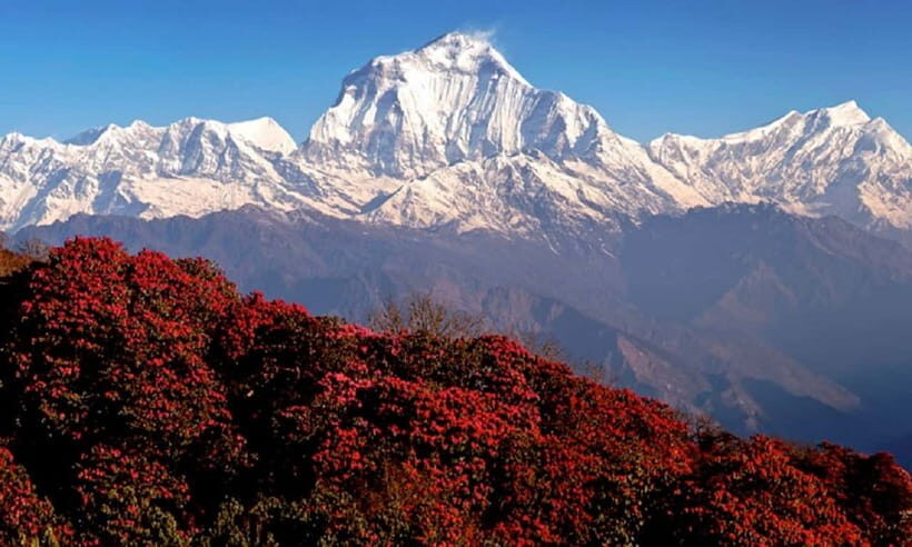 Pokhara: 3-Day Ghorephani and Poon Hill Private Trek - Day 2: Ulleri to Ghorepani with Annapurna and Dhaulagiri in sight
