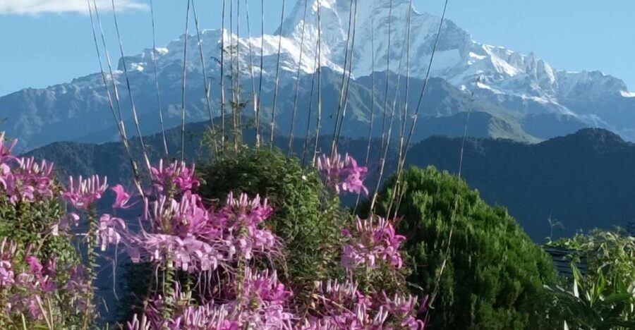 Pokhara: 3-Day Trek - Key highlights that make this trek worth your time