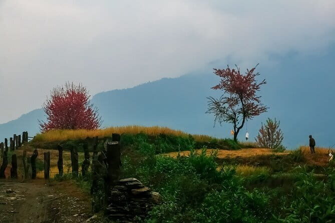 Pokhara 3 Days Ghorepani and Poon Hill Private Trek via Ghandruk - Day 3: Ghandruk village morning, then back to Pokhara Lakeside