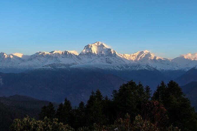 Pokhara 3 Days Ghorepani and Poon Hill Private Trek via Ghandruk - What you actually get for $218, and why it’s not just a cheap add-on