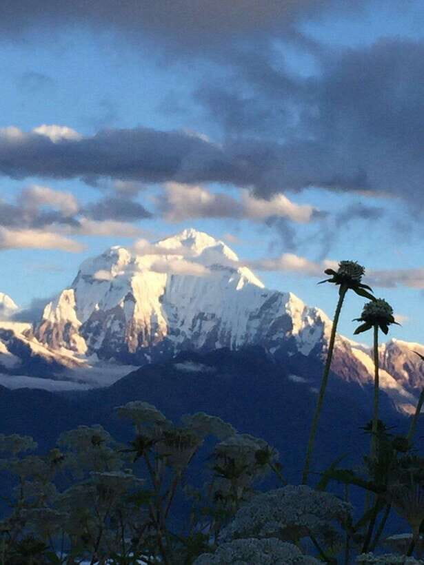 Pokhara: 3 days Trek to Poon hill - Price and value: what $287 actually covers (and what to budget outside it)