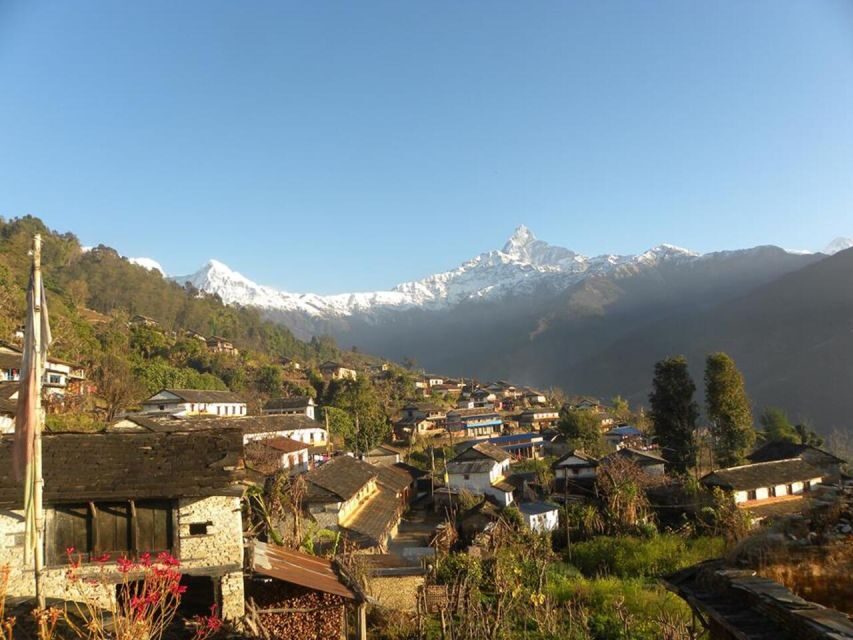 Pokhara: 4-Day Ghorepani, Poonhill & Ghandruk Village Trek - Price and value: is $172 per person a fair deal?