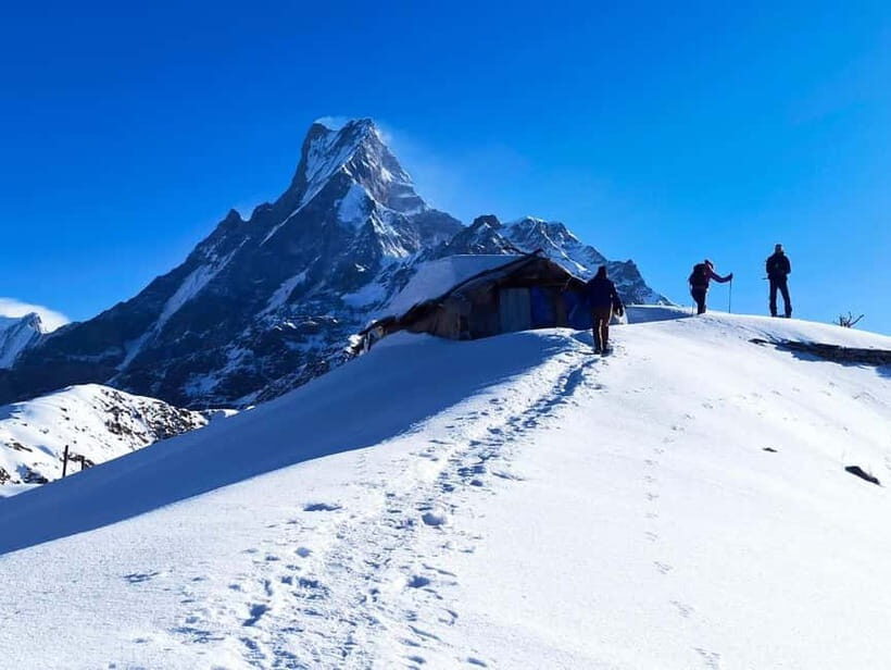 Pokhara: 4-Day Mardi Himal Trek with Guide & Himalayan Views - The early start that pays off: High Camp sunrise hike to 4300m viewpoint