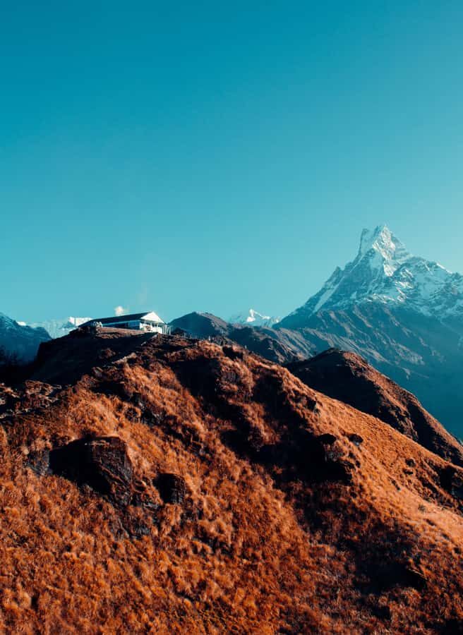 Pokhara: 4-Day Mesmerizing Mardi Himal Guided Trek - Who this private 4-day Mardi Himal trek is best for