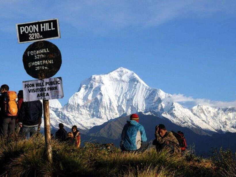 Pokhara: 4-Day Poon Hill and Ghandruk Guided Trek - Day 2: Ulleri to Ghorepani with Rhododendron Forest Walking