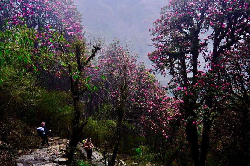 Pokhara: 4-Day Poon Hill and Ghandruk Guided Trek - Day 4: Ghandruk Village Time, Traditions, and the Return to Pokhara