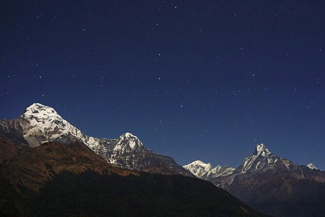 Pokhara: 4 Day Poon Hill Trek - Pokhara to Nayapul: the logistics that save your legs