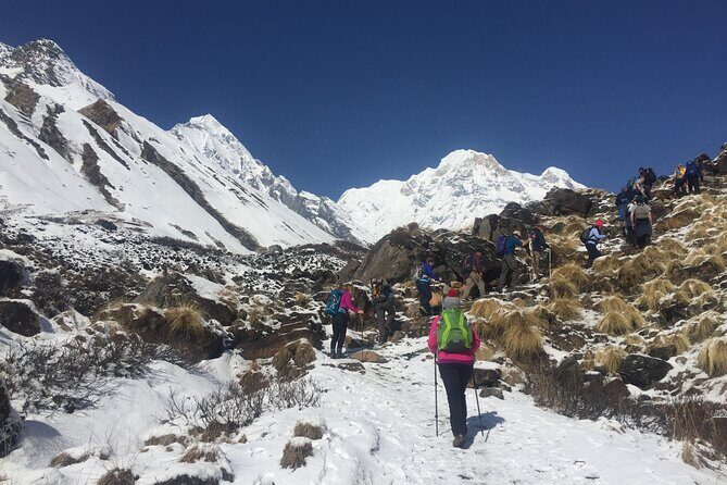 Pokhara: 4 Day Poon Hill Trek - Day 2: Ulleri Stairs to Ghorepani and the rhododendron vibe