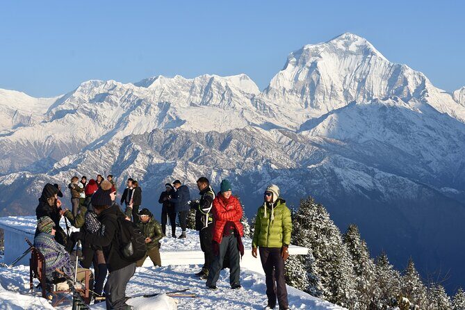 Pokhara: 4 Day Poon Hill Trek - Day 3: Poon Hill at dawn, then breakfast in Ghorepani