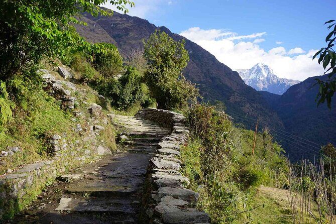 Pokhara: 4 Day Poon Hill Trek - Day 1: Tikhedhunga and the start of the stair reality