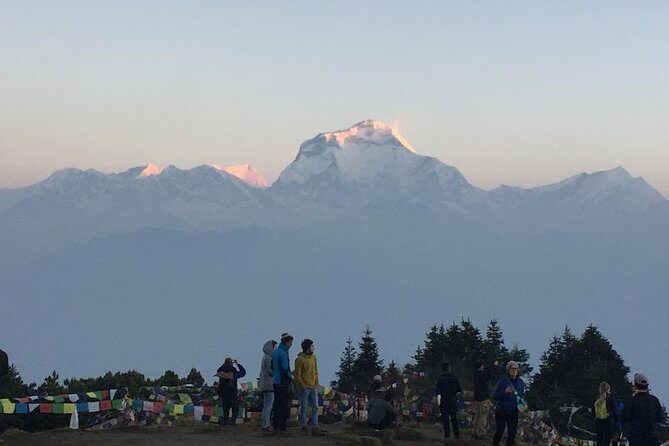 Pokhara: 4 Days Poon Hill - Ghandruk Village Trek - Day 3: The Poon Hill sunrise run at 4am