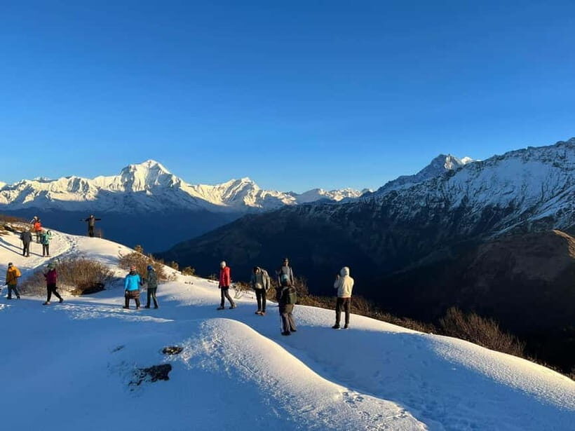 Pokhara: 5-Day Mardi Himal Guided Trek - Day 2: Forest Camp to High Camp at 4000m Through Jungle Terrain