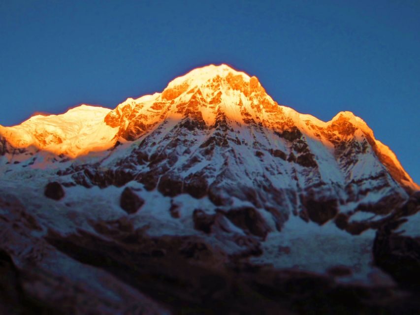 Pokhara: 5-Day Trek to Annapurna Base Camp and Hot Springs - Lodges, guides, and what makes the experience feel safe