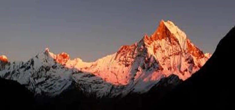 Pokhara: 7-Day Annapurna Base Camp Trek & Hot Spring - Chomrong to Himalaya: Higher Forests, Slower Breathing, Better Focus