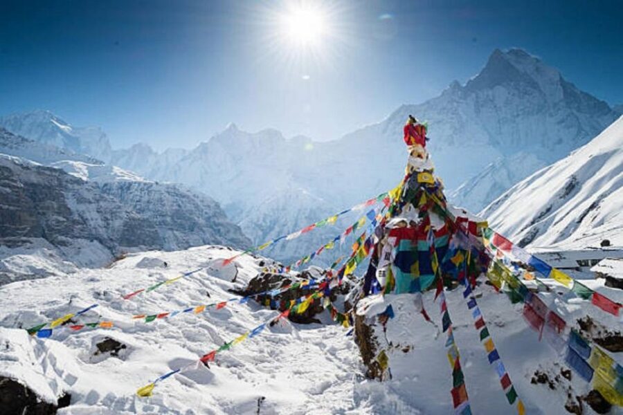 Pokhara: 7-Day Annapurna Base Camp Trek & Hot Spring - ABC to Bamboo (2,335m): Downhills, Rhododendron, and Water Sounds