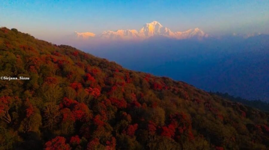 Pokhara: 7-Day Annapurna Base Camp Via PoonHill & Hot Spring - FAQ