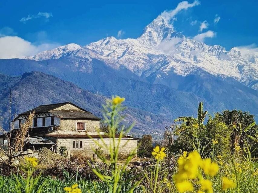 Pokhara: 9-Day Annapurna Base Camp Trek with Poon Hill - Day 8: Bamboo to Jhinu Dada hot spring (1,600m) for muscle recovery