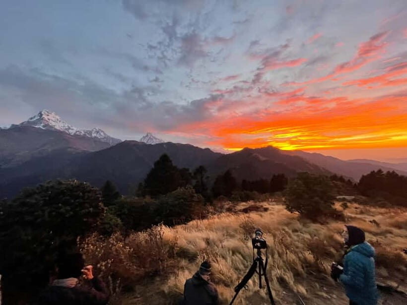Pokhara: 9-Day Annapurna Base Camp Trek with Poon Hill - Day 3: Poon Hill sunrise (3,210m) then Tadapani or Chuile