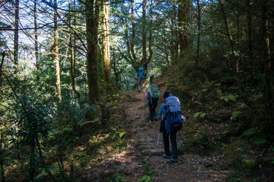 Pokhara: 9-Day Annapurna Base Camp Trek with Poon Hill - Day 4: Chuile to Sinuwa (2,170m) and the feeling of transition